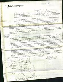 Court of Common Pleas - Mary Whitshead-Original Ancestry