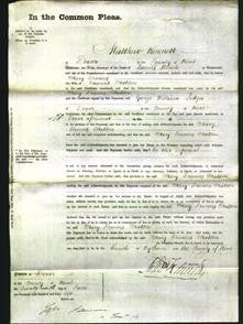 Court of Common Pleas - Mary Frances Matson-Original Ancestry