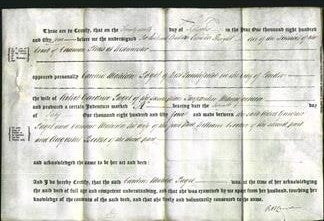 Deed by Married Women - Caroline Matilda Baget-Original Ancestry