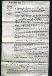 Court of Common Pleas - Elizabeth Martha Thompson-Original Ancestry