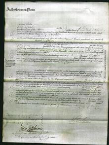 Court of Common Pleas - Fanny Orsborn-Original Ancestry