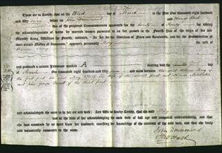 Deed by Married Women - Mary Terry-Original Ancestry