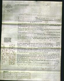 Court of Common Pleas - Mary Terry-Original Ancestry