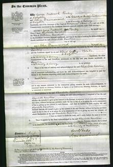 Court of Common Pleas - Charlotte Caroline Muskett-Original Ancestry