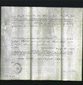 Court of Common Pleas appointment - Louisa Stokes-Original Ancestry