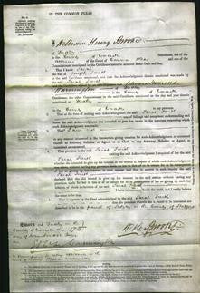 Court of Common Pleas - Sarah Smith-Original Ancestry