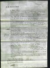 Court of Common Pleas - Mary Aylwin and Eliza Archard-Original Ancestry