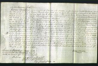 Court of Common Pleas - Susanna Precious-Original Ancestry