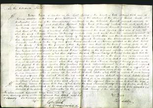 Court of Common Pleas - Agatha Ellis-Original Ancestry