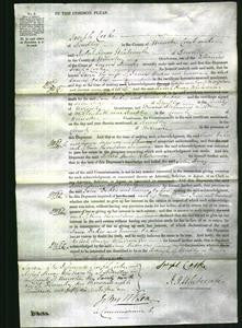 Court of Common Pleas - Jane Dukes and Emma Oakes-Original Ancestry