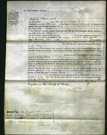 Court of Common Pleas - Mary Teevan-Original Ancestry