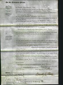 Court of Common Pleas - Grace Mary Chichester-Original Ancestry