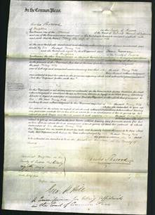 Court of Common Pleas - Mary Pitts-Original Ancestry