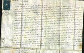 Court of Common Pleas - Elizabeth Morgan-Original Ancestry