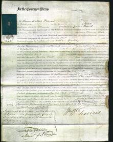 Court of Common Pleas - Martha Ward-Original Ancestry