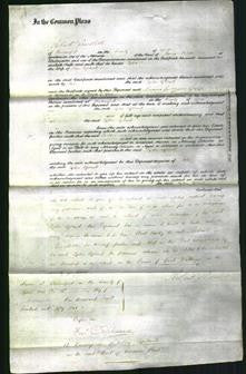 Court of Common Pleas - Lydia Copland-Original Ancestry