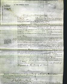 Court of Common Pleas - Mary Fourd-Original Ancestry