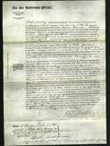 Court of Common Pleas - Jane Clark-Original Ancestry