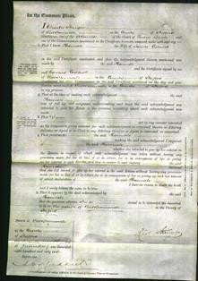 Court of Common Pleas - Hannah Culwick-Original Ancestry