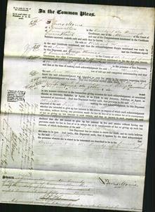 Court of Common Pleas - Jane Howells-Original Ancestry