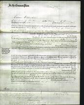 Court of Common Pleas - Ann Elizabeth Thomas-Original Ancestry