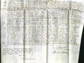 Court of Common Pleas - Ann Swift-Original Ancestry