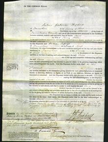 Court of Common Pleas - Anne Hilton-Original Ancestry