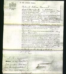 Court of Common Pleas - Mary Ann Barringer-Original Ancestry