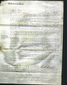Court of Common Pleas - Judith Hill-Original Ancestry