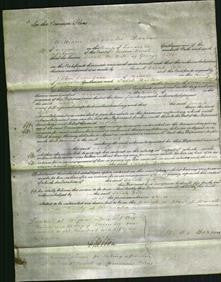 Court of Common Pleas - Sarah Gill-Original Ancestry