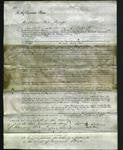 Court of Common Pleas - Mary Ann Bly-Original Ancestry