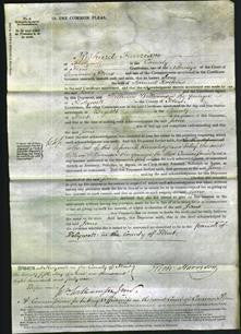 Court of Common Pleas - Jane Hoskins-Original Ancestry