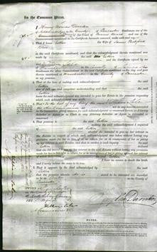 Court of Common Pleas - Esther Bloor-Original Ancestry