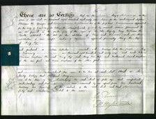 Deed by Married Women - Mary Rye-Original Ancestry