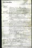Court of Common Pleas - Anna Maria Pardoe-Original Ancestry