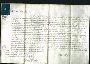 Court of Common Pleas - Mary Danger-Original Ancestry