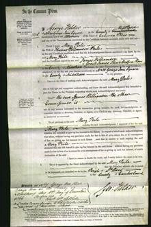 Court of Common Pleas - Mary Peile-Original Ancestry