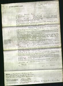 Court of Common Pleas - Hannah Werman-Original Ancestry