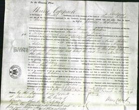 Court of Common Pleas - Annie Ashton-Original Ancestry