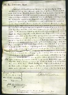 Court of Common Pleas - Eliza Jebb-Original Ancestry