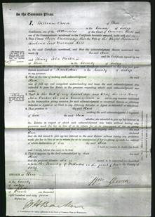 Court of Common Pleas - Ann Viscountess Hill-Original Ancestry