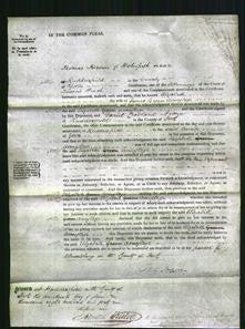 Court of Common Pleas - Elizabeth Armytage-Original Ancestry