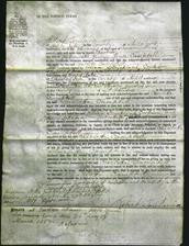 Court of Common Pleas - Charlotte Campbell-Original Ancestry