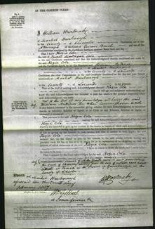 Court of Common Pleas - Kezia Cole-Original Ancestry