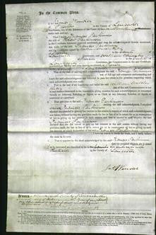 Court of Common Pleas - Frances Parkinson-Original Ancestry