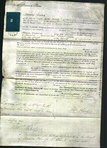 Court of Common Pleas - Ann Newport-Original Ancestry