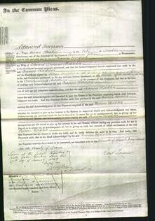 Court of Common Pleas - Frances Holditch-Original Ancestry