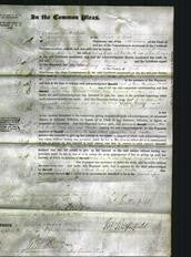 Court of Common Pleas - Mary Ann Drake and Martha Robinson-Original Ancestry