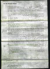 Court of Common Pleas - Mary Burch Williams-Original Ancestry