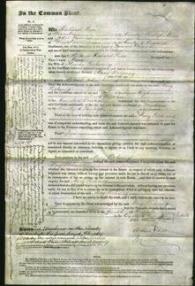 Court of Common Pleas - Mary Pickering-Original Ancestry